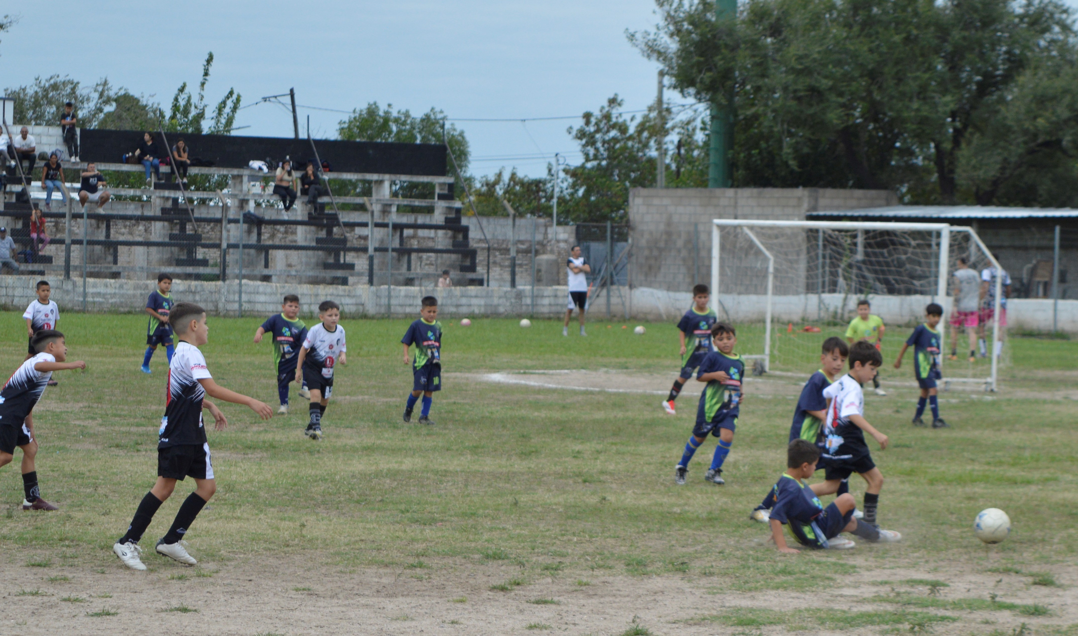 Imagen 3